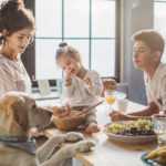 5 family friendly dogs maternity and infant family